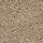 Horizon Carpet: Pleasant Touch Tudor Brown